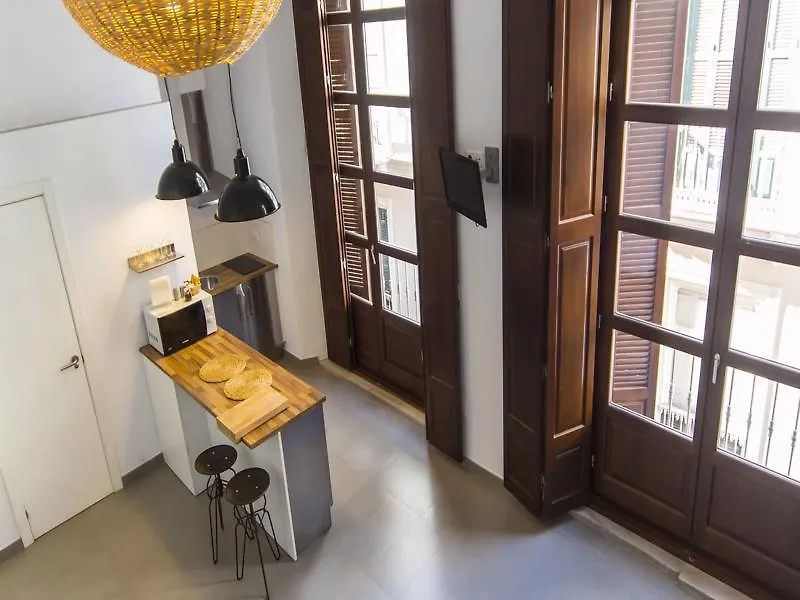 Apartamentos Malaga Picasso شقة