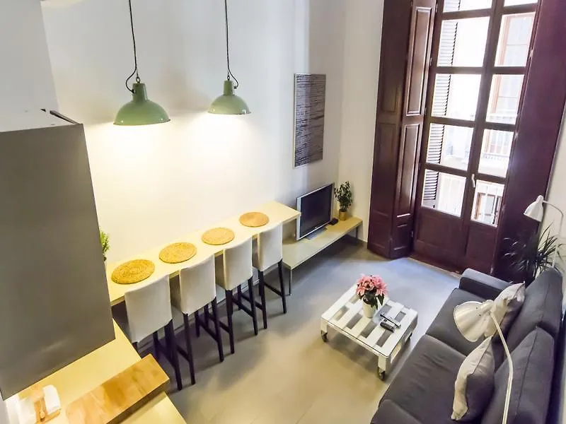 Apartamentos Malaga Picasso شقة